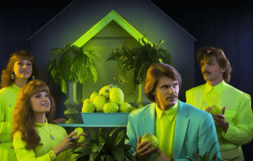 Dhamaka Zone Celebrity Gossip : The Juiciest News in Entertainment